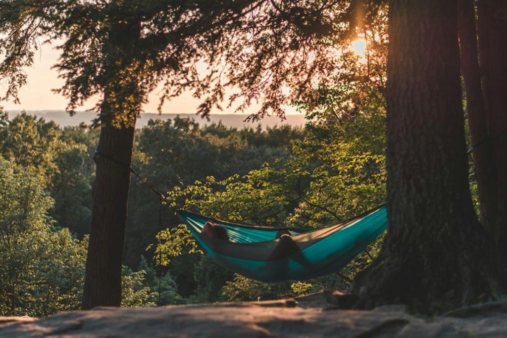 Hammock